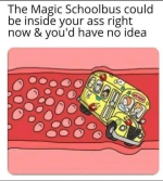 MagicSchoolbus.png
