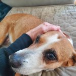 Tinker June 20 2025.jpg