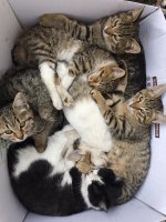 55iux4porm221.jpg 55iux4porm221.jpg