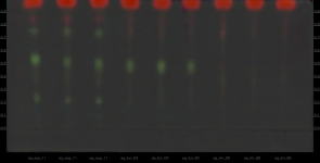 1751057499066.png 1751057499066.png