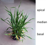 1751057509849.png 1751057509849.png