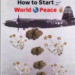 howToStartWorldPeace.jpeg