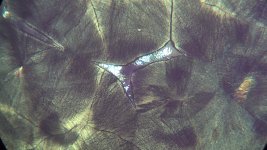 IMG_0010.jpg