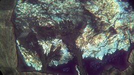 IMG_0020.jpg