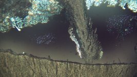 IMG_0022.jpg