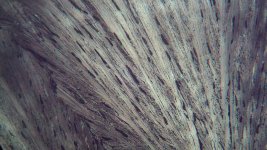 IMG_0038.jpg