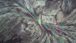 IMG_0041.jpg