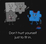 DOn't Hurt Yourself to Fit In.jpg