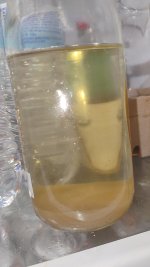 1000001228.jpg 1000001228.jpg