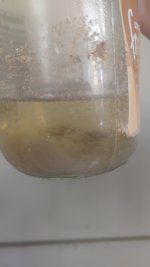 1000001238.jpg 1000001238.jpg