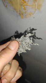 1000001065.jpg 1000001065.jpg