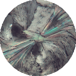 Untitled design (5).gif