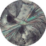 Untitled design (6).gif Untitled design (6).gif