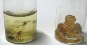 IMG_2723.JPG IMG_2723.JPG