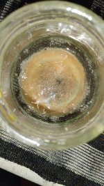 1000001324.jpg 1000001324.jpg