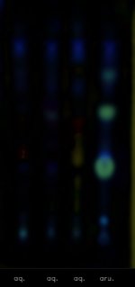 2024.09.05 (275nm) dry.jpg