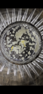 IMG_7295.png IMG_7295.png