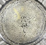 IMG_7308.jpeg IMG_7308.jpeg