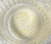 IMG_7309.jpeg IMG_7309.jpeg