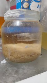 1000002769.jpg 1000002769.jpg