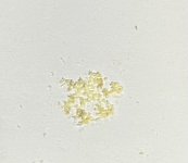 IMG_7364.jpeg IMG_7364.jpeg