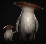 kyle-hall-kh-mushroomparent-raw-final-lighter-sss-jp-3629756206.jpg kyle-hall-kh-mushroomparent-raw-final-lighter-sss-jp-3629756206.jpg