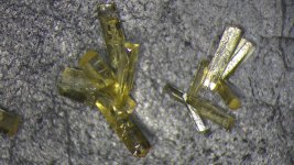 IMG_0117.jpg IMG_0117.jpg