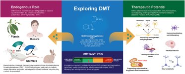 Exploring DMT paper_featured image.jpg Exploring DMT paper_featured image.jpg