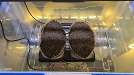 diffuser tub with water & long air stones_GumboSlinger.jpeg diffuser tub with water & long air stones_GumboSlinger.jpeg