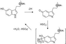 bufotenone bisulfite.jpg