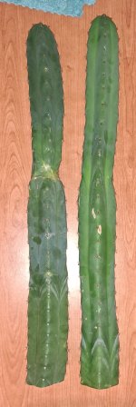 1000289897.jpg 1000289897.jpg