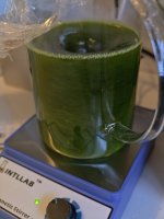 IMG_20250929_143818.jpg IMG_20250929_143818.jpg