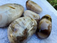 20230815_160200.jpg 20230815_160200.jpg