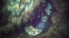 IMG_0001.jpg IMG_0001.jpg