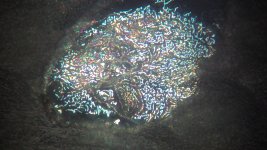 IMG_0005.jpg IMG_0005.jpg