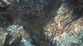 IMG_0021.jpg IMG_0021.jpg