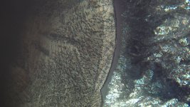 IMG_0023.jpg IMG_0023.jpg