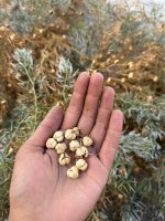 WhatsApp Image 2025-11-04 at 12.11.28_11fd0cf7.jpg