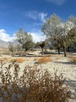 WhatsApp Image 2025-11-04 at 12.11.28_7a1bc396.jpg