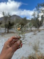 WhatsApp Image 2025-11-04 at 12.11.28_da964c2d.jpg