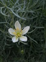 WhatsApp Image 2025-11-04 at 12.16.26_130fd774.jpg