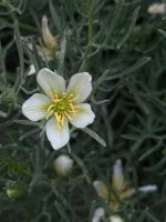 WhatsApp Image 2025-11-04 at 12.16.26_a9ef48a4.jpg