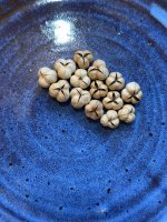 WhatsApp Image 2025-11-06 at 19.46.44_b01d5946.jpg