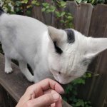 September 9 2025.jpeg