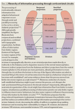 Screenshot 2025-11-18 at 16-03-29 The glutamate homeostasis hypothesis of addiction - Kalivas_...png