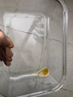 WhatsApp Image 2025-11-19 at 14.43.12.jpeg