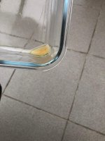 WhatsApp Image 2025-11-19 at 14.43.12 (2).jpeg