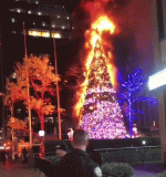 xmastreefire.gif