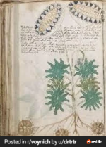 RDT_20251106_0120054584419190727904120 (1).png