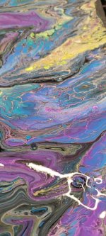 1764787475475.jpeg 1764787475475.jpeg